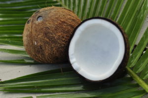 лікувальний потенціал кокосової шкарпули