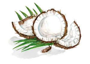 Masale кокосовое масло от секущихся кончиков