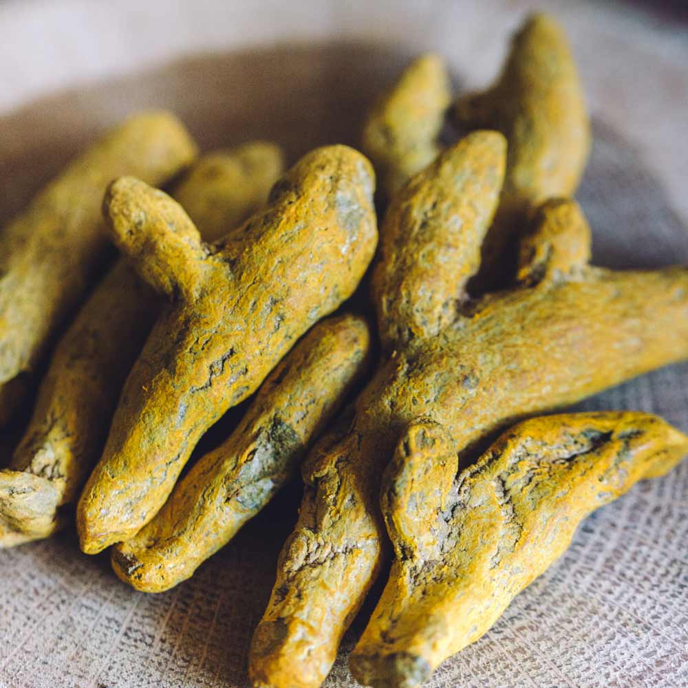 magical properties of the sacred Indian spice